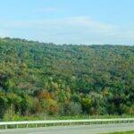 Market Analysis: Opportunities in Auto Insurance for Autonomous Delivery Services