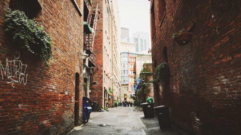 Can I Access Multiple Accounts On Https 11Xplay Pro Dashboard?